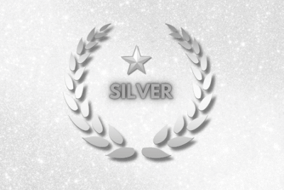 Coaching Silver Package