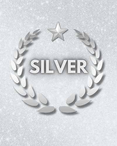 Coaching Silver Package