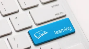 The Skill Bridge Learning