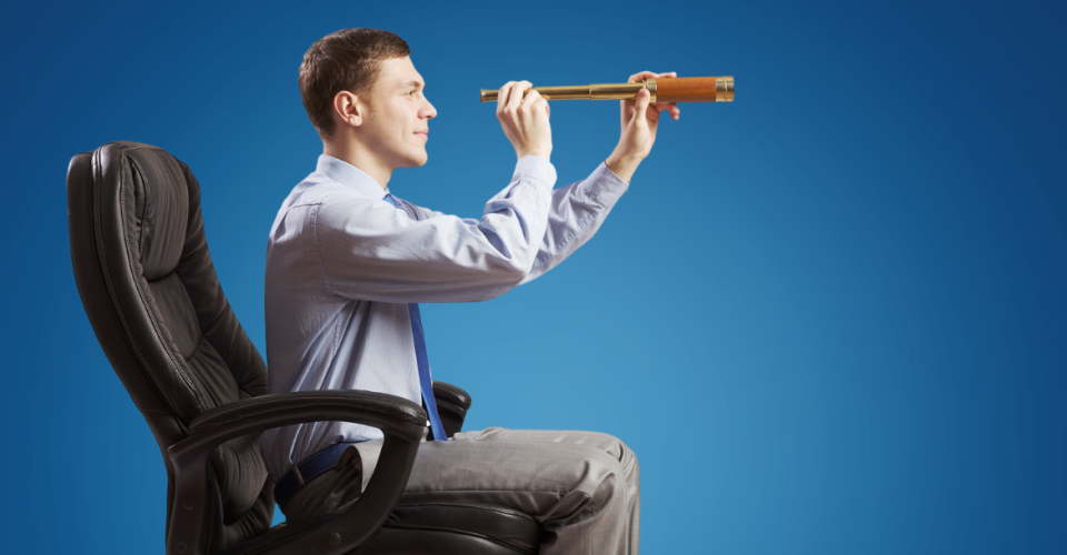 Visionary Leader Skillbridge